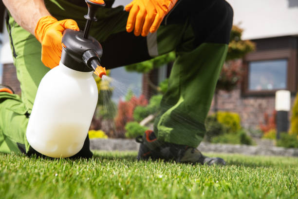 Flea Control Services in Dresser, WI
