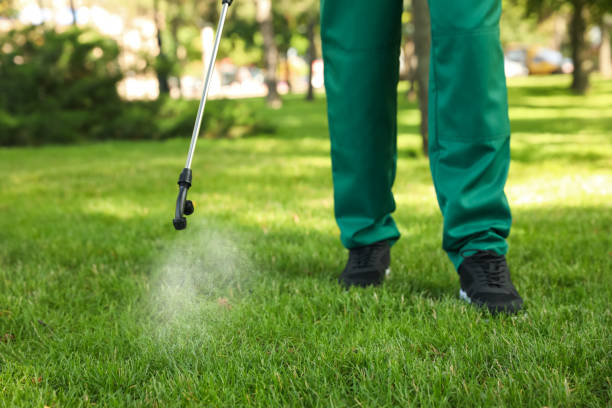 Best Best Pest Control Companies  in Dresser, WI