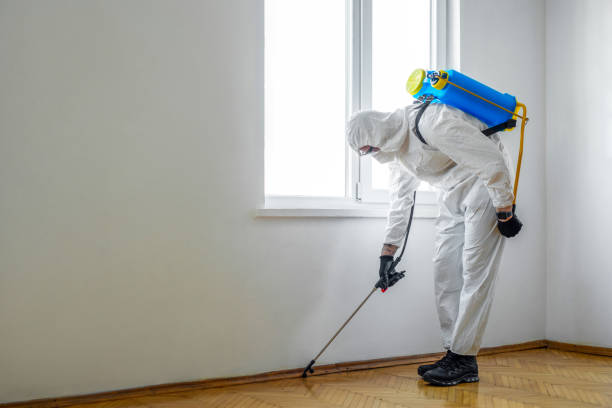 Best Residential Pest Control  in Dresser, WI