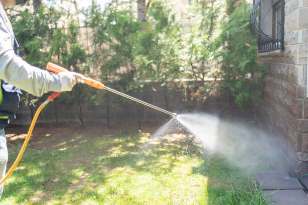 Best Insect Control  in Dresser, WI