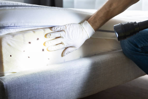 Best Emergency Pest Control  in Dresser, WI