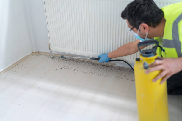 Best Best Pest Control Companies  in Dresser, WI