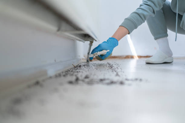 Best Mosquito Control Services  in Dresser, WI
